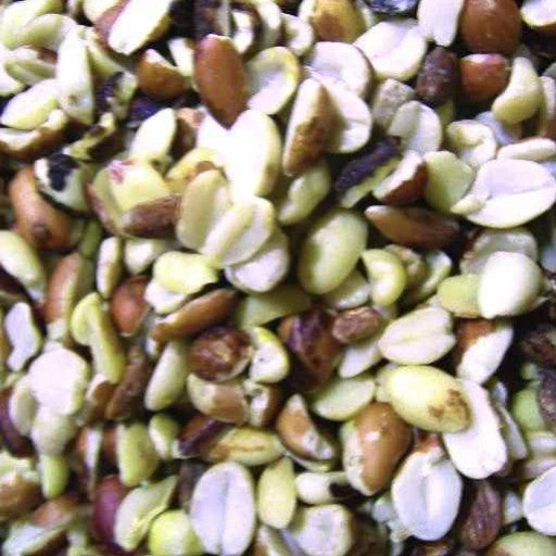 The Birdhouse Chick Shelled Peanuts-5 Pounds