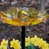 Birds Choice Staked & Pedestal Bird Baths Acrylic Bird Bath On Pole