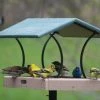 Birds Choice Large Fly-Thru Platform Feeder - Recycled Plastic