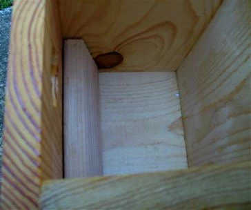 The Birdhouse Chick Unique Birdhouses Traditional Nest Box