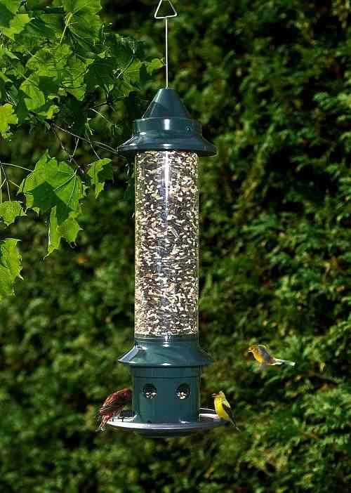 Brome Bird Care Squirrel Buster Plus With Optional Weather Guard Squirrel-Proof Feeders