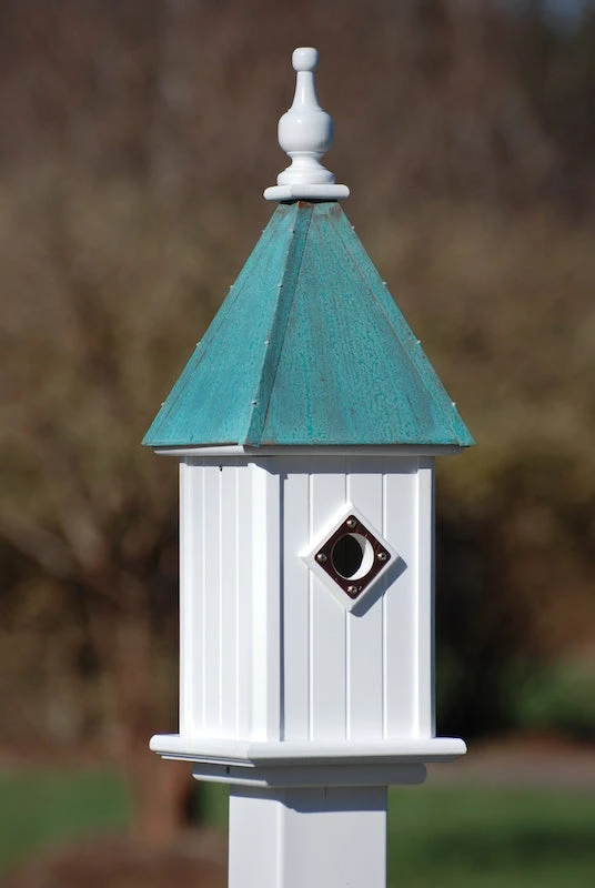 The Birdhouse Chick Copper Roof Bluebird House 26x8