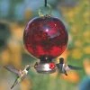 Parasol Dew Drop Ruby Red Hummingbird Feeder