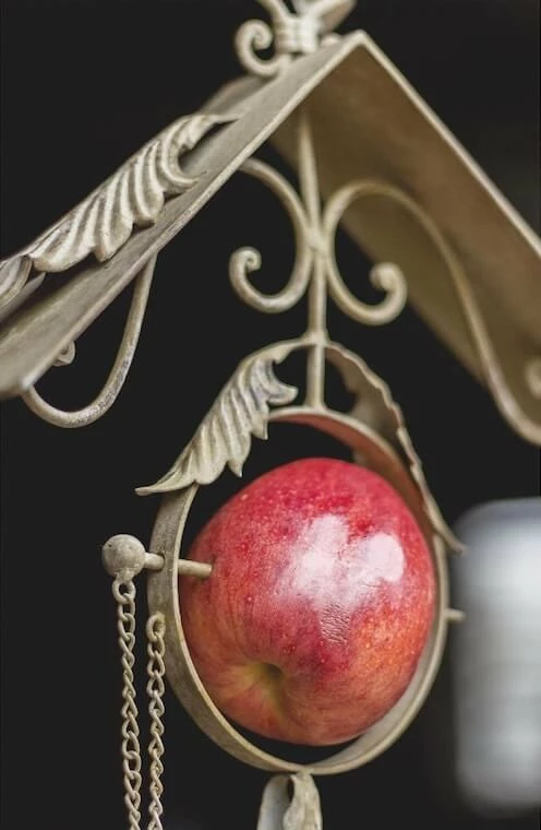 Peacock Park Weathered Scroll Fruit And Suet Feeder Suet Feeders