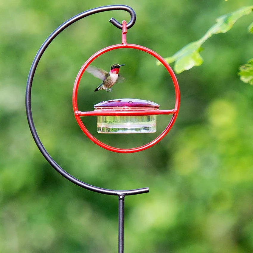 Couronne Red Orb With Perch Hummingbird Feeder