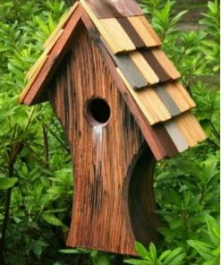 Heartwood Nottingham Birdhouse Unique Birdhouses
