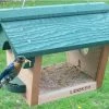 Songbird Essentials Hanging Bluebird Feeder Bluebird Feeders