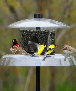 Droll Yankees Jagunda Squirrel Proof Bird Feeder With Pole Squirrel-Proof Feeders