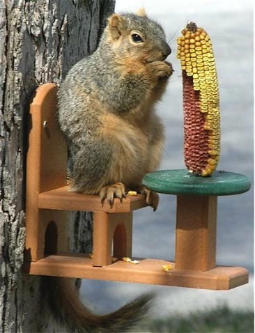 Songbird Essentials Table And Chair Squirrel Feeder - Recycled Plastic Recycled Birdhouses