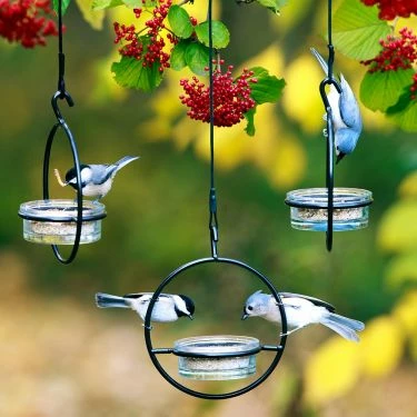 Couronne Orb Mealworm & Multi-Use Bird Feeder Unique Bird Feeders