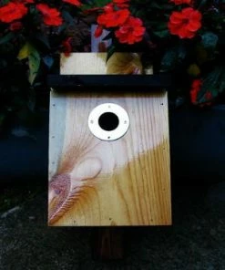The Birdhouse Chick Unique Birdhouses Traditional Nest Box