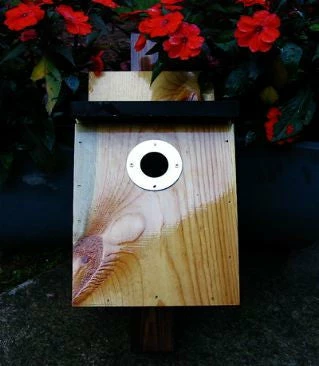 The Birdhouse Chick Unique Birdhouses Traditional Nest Box