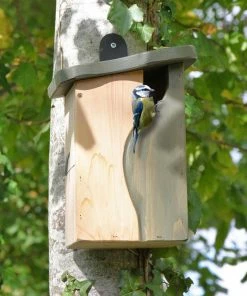Wildlife World Natural Entry Wood Birdhouse