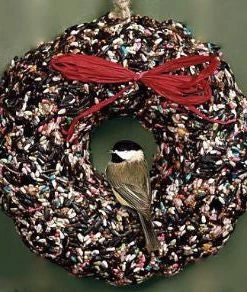 Pine Tree Farms Specialty Foods & Mealworms Large Bird Seed Wreath