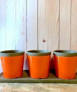 The Birdhouse Chick Poppy Triple Herb Planters- Detached Tray