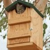 Songbird Essentials Screech Owl House Owl Houses