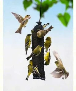 Songbird Essentials Finch Magic Thistle Sock Thistle Feeders