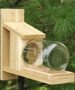 Songbird Essentials Songbird Cedar Squirrel Jar Feeder