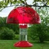 Songbird Essentials Dr. JB's Clean Hummingbird Feeder & Hummer Helmet