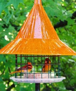 Arundale Sky Cafe Oriole Feeder Fruit, Jelly & Mealworm Feeders