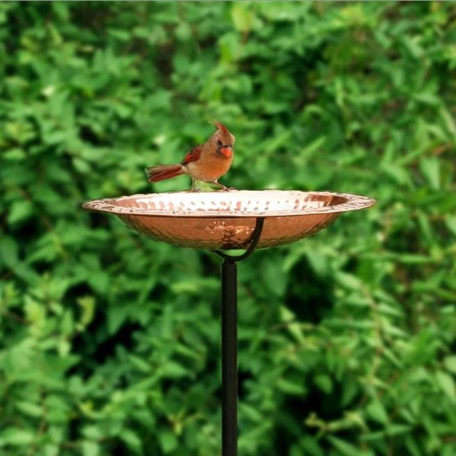 Good Directions Solid Copper Staked Bird Bath- 2 Sizes