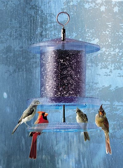 Songbird Essentials Songbird All-Weather Feeder 4 Or 6 Qt. Unique Bird Feeders