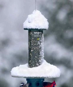Brome Bird Care Squirrel Buster Plus With Optional Weather Guard Squirrel-Proof Feeders
