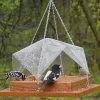 Songbird Essentials Super Tray Bird Feeder With Cover Unique Bird Feeders