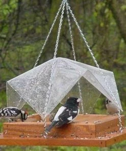 Songbird Essentials Super Tray Bird Feeder With Cover Unique Bird Feeders