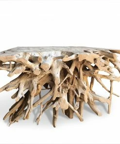 The Birdhouse Chick Teak Root Console Table Home & Garden Accents