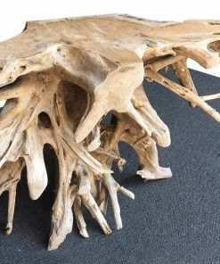 The Birdhouse Chick Teak Root Console Table Home & Garden Accents