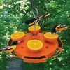 Songbird Essentials Fruit, Jelly & Mealworm Feeders Ultimate Oriole Feeder