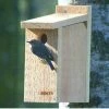 Songbird Essentials View Thru Bluebird House-NABS Approved