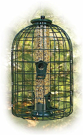 Woodlink Caged Squirrel Proof Bird Feeder- 2 Lb.