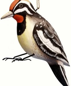 Bobbo Yellow-Belly Sapsucker Wood Birdhouse Unique Birdhouses