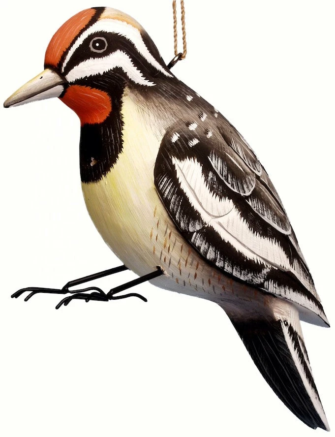 Bobbo Yellow-Belly Sapsucker Wood Birdhouse Unique Birdhouses