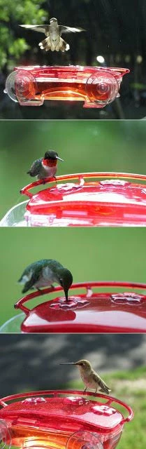 Aspects Jewel Box Window Hummingbird Feeder