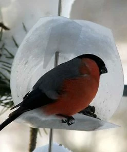 Opossum Design Birdhouse Kits Euro Bird Feeder Kit