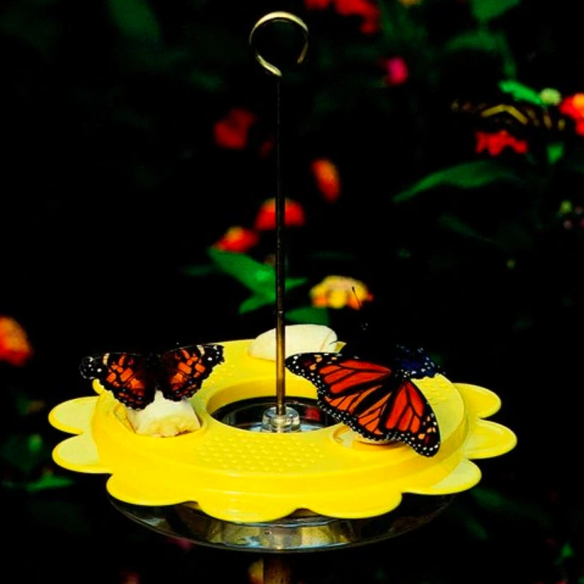 Birds Choice The Flutterby Butterfly Feeder Butterflies