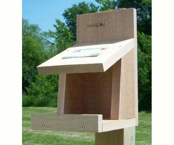 Songbird Essentials Nesting Materials & Roosts Cedar Nesting Platform
