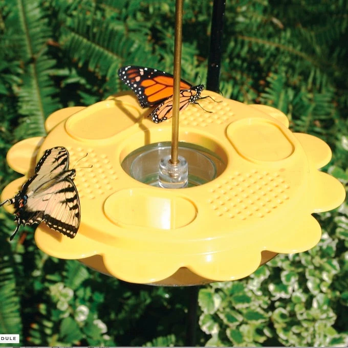 Birds Choice The Flutterby Butterfly Feeder Butterflies