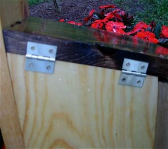 The Birdhouse Chick Unique Birdhouses Traditional Nest Box