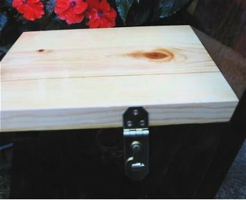 The Birdhouse Chick Unique Birdhouses Traditional Nest Box