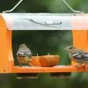 Birds Choice Recycled Birdhouses Recycled Fruit & Jelly Oriole Feeder