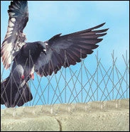 Bird B Gone, Inc. Pest Deterrents Bird-B-Gone Stainless Steel Bird Spikes