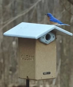 Birds Choice Bluebird Houses Deluxe Reycled Bluebird House-NABS Approved