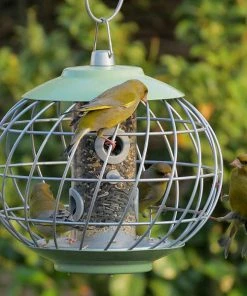 Nuttery Squirrel Proof Seed Feeder Unique Bird Feeders