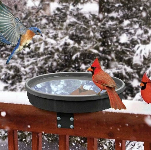 Songbird Essentials Songbird Spa Heated Deck-Mount Bird Bath