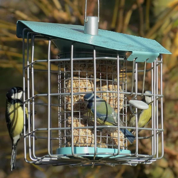 Suet Feeders Nuttery Caged Suet Feeder