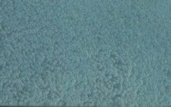 A Wing And A Prayer Azalea Bird Feeder In Vinyl/PVC Vinyl Bird Feeders